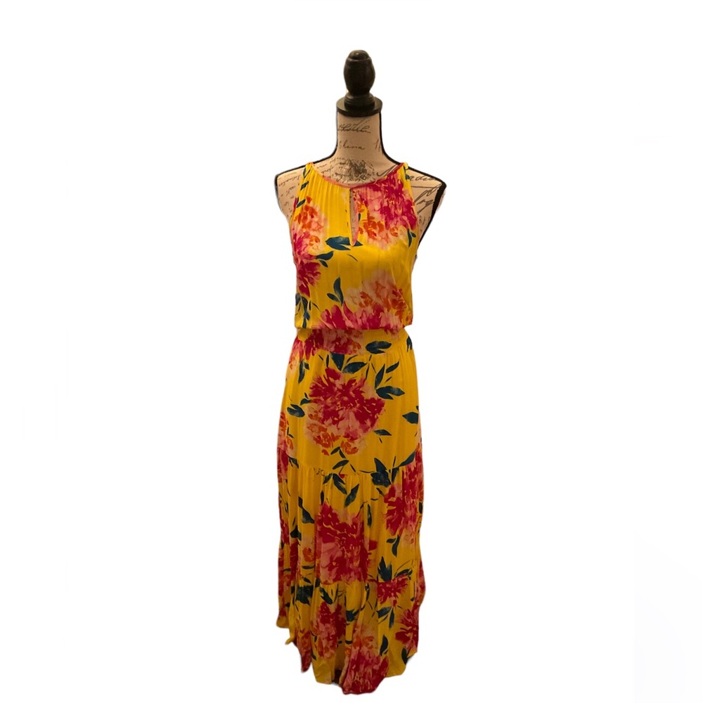 NWT Evereve Dress